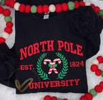 North Pole University